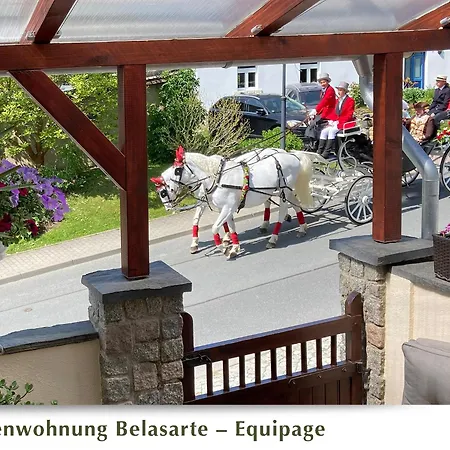 Ferienwohnung Belasarte Bad Elster Exterior photo