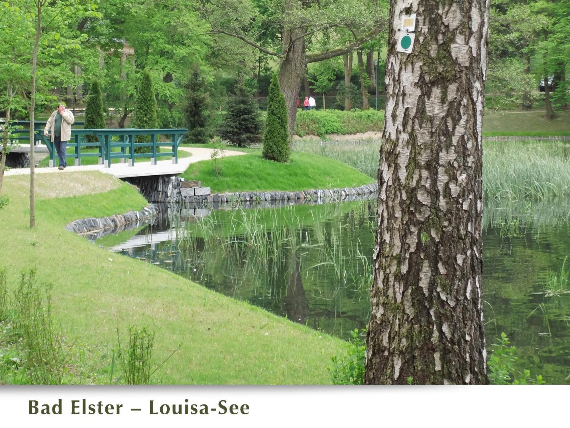 Belasarte Bad Elster